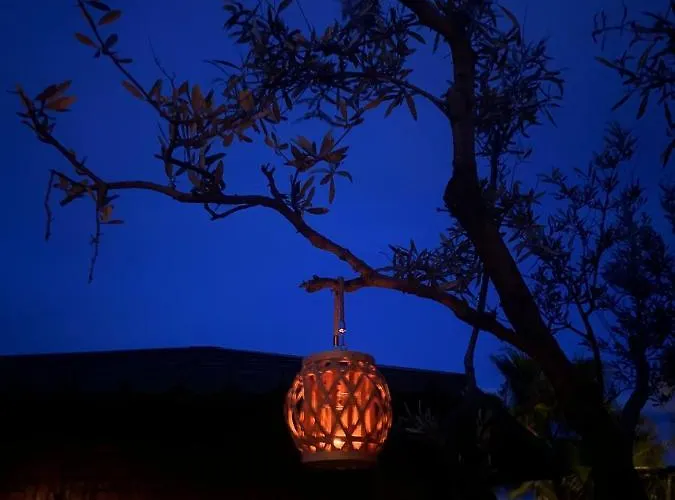 Aurelio Отель типа 